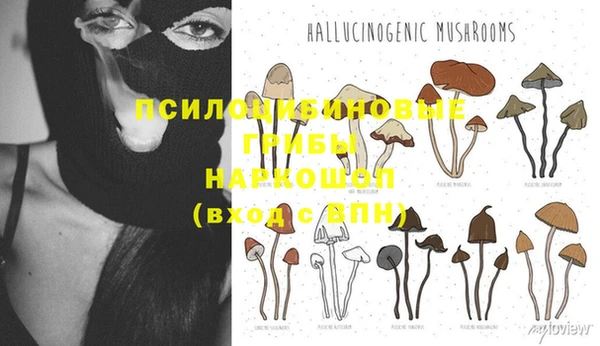 хмурый Навашино