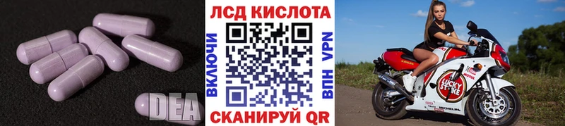 KRAKEN сайт  Полярный  Лсд 25 экстази кислота 